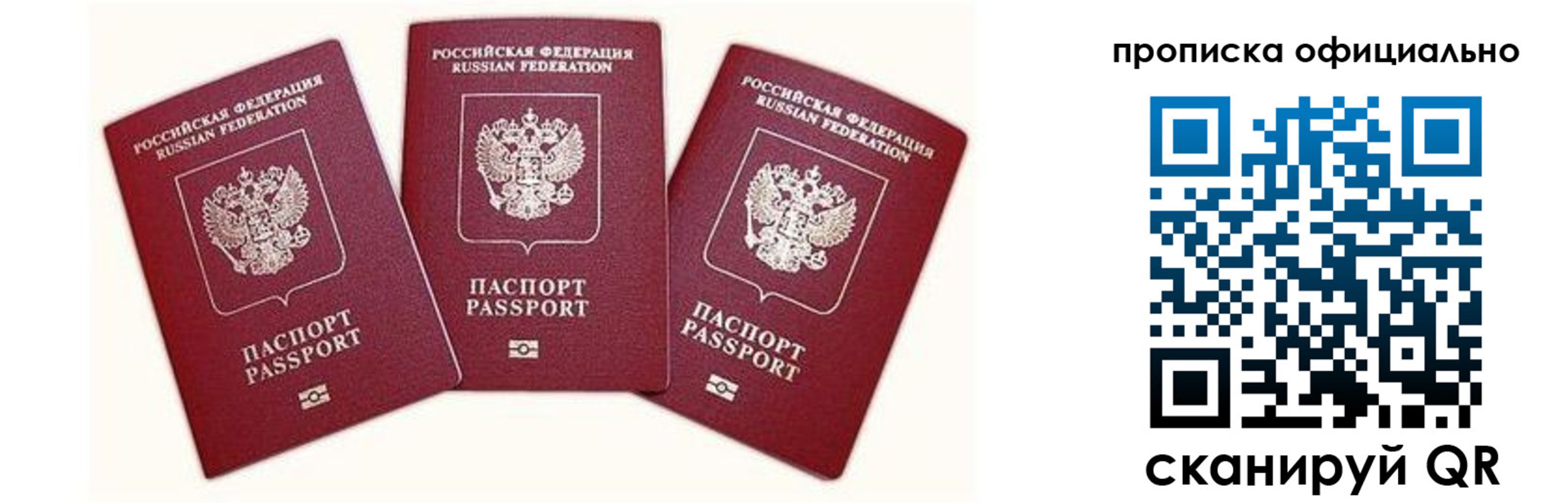 временная прописка в Королёве